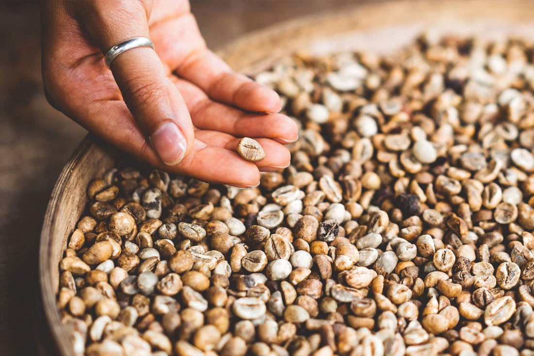 DISTILLING AS AN ARTFORM IN ATLANTA: THE STYLE OF SUBSTANCE IN THE SOUTH